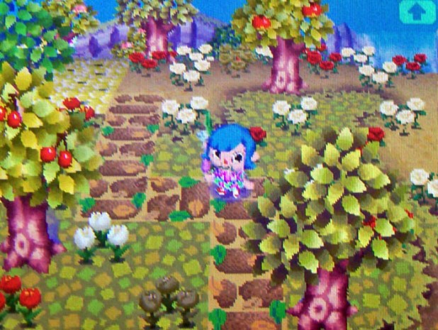 Leaf-strewn cobblestone side path