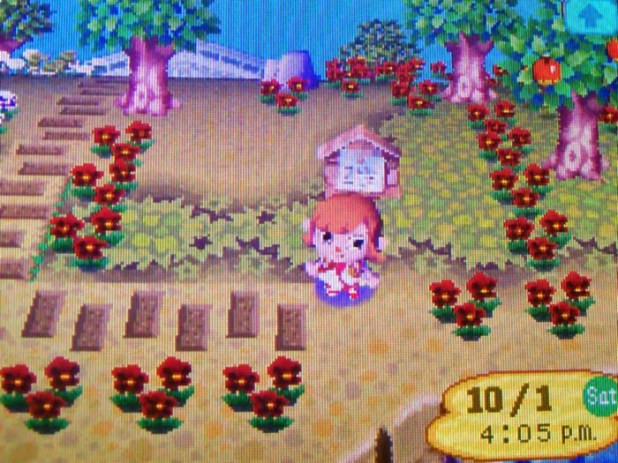 Empty house plot by the river