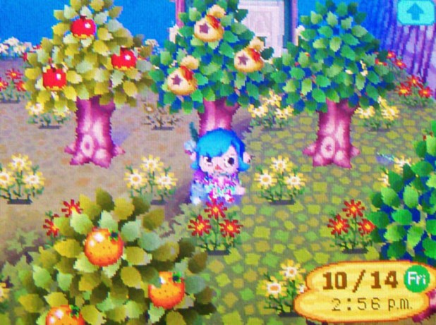 Successful money tree