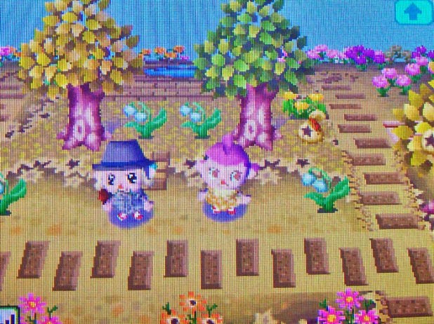 Jacob's ladder garden on StarCity's island