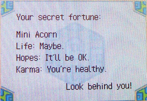 Your secret fortune: Mini Acorn
