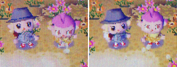 Blowing dandelion puffs