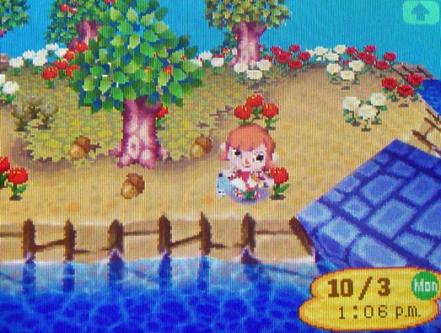 Finding acorns at the foot of oak trees