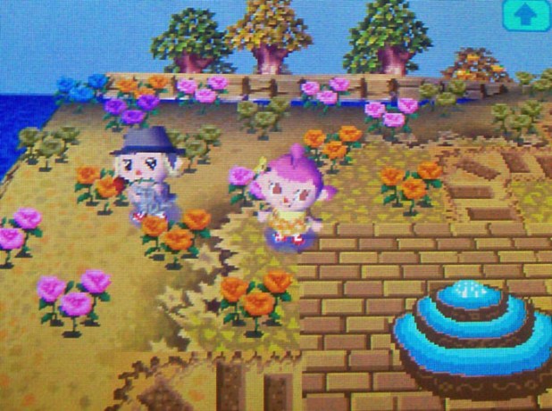 Rose garden on StarCity's island