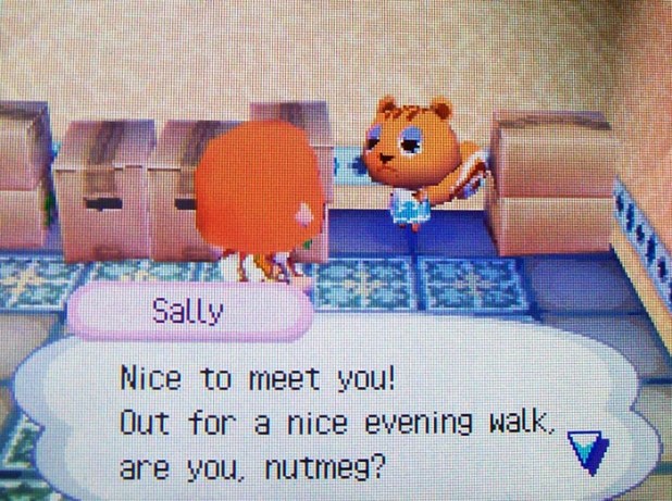 Sally: Nice to meet you! Out for a nice evening walk, are you, nutmeg?
