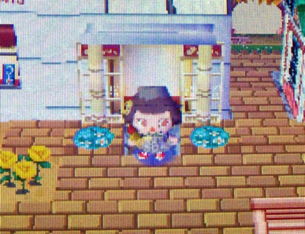 Violet and Kammile morphed