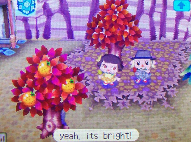 Autumn colors in the temporary town