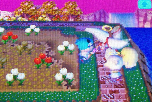 Net fight to greet Jemma