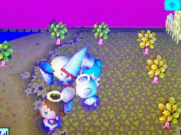 Net fight arena in a ring of trees