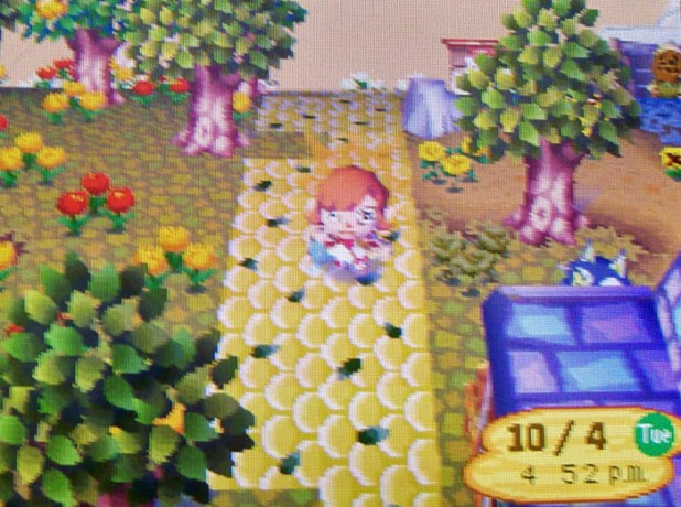 Sacrificing my paths to get more acorns