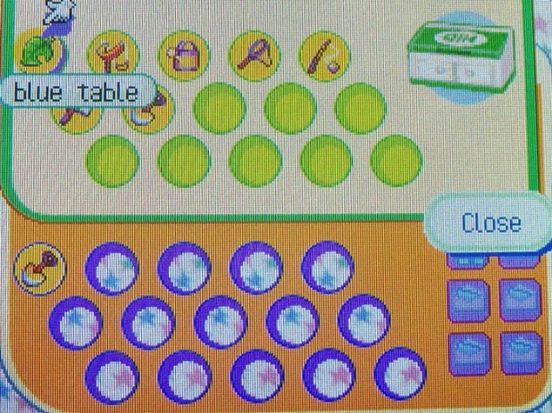 Skye's gift for me: golden tools in the recycling bin