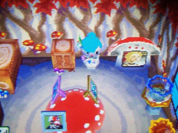 Mush room in Usagi's house