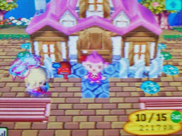 Kammile's pink house and patterns landscaping in front