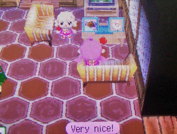 Inside Kammile's house