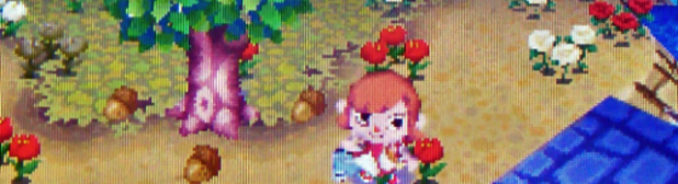 Read → Acorn Festival