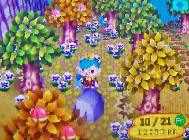 Orange, yellow, and green trees