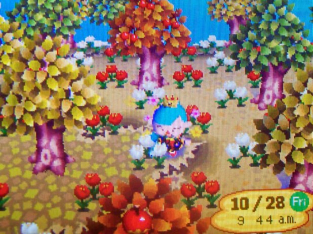 Deeper orange, yellow, and green trees