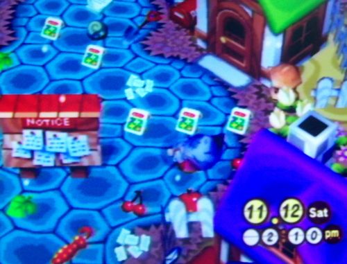 Picking up the junk littering my home's pavement area