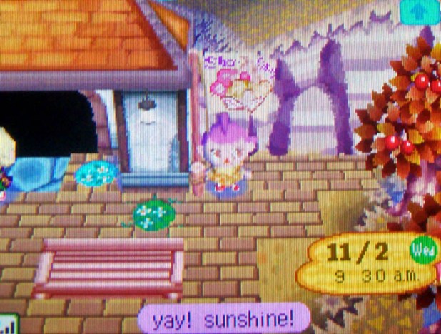 StarCity's sweets flag