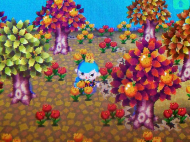 My favorite Autumn colors: deep red, gold, and green trees