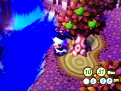 De-weeding done, enjoying a moment by the waterfall