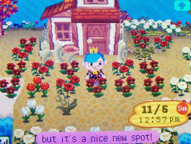 Pierce's red beach house