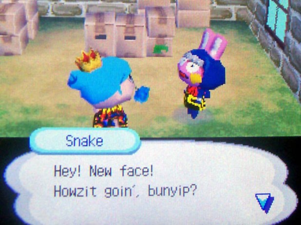 Snake: Hey! New face! Howzit goin', bunyip?