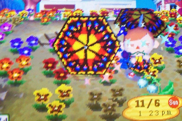 Sparkly clothes-changing shot in the colorful pansy garden at the shopping center