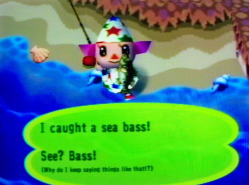 I caught a sea bass! See? Bass!