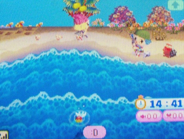 Starting a fishing contest