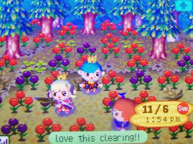 After the WiFi crash, meeting up again in a clearing of the cedar forest filled with red tulips.