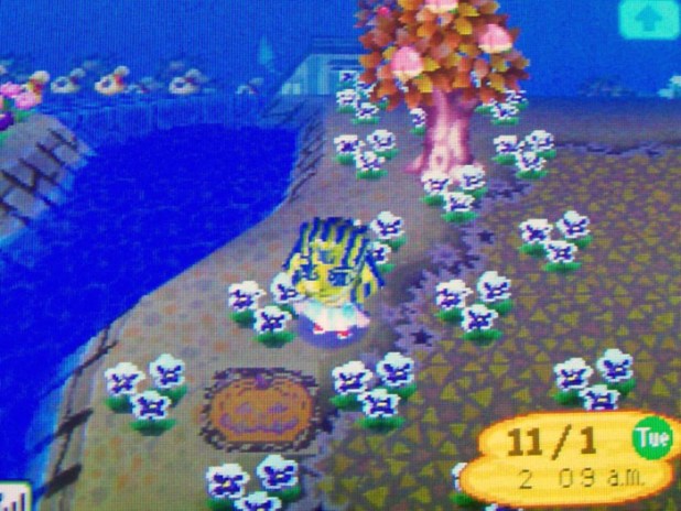 Pumpkin pattern decoration