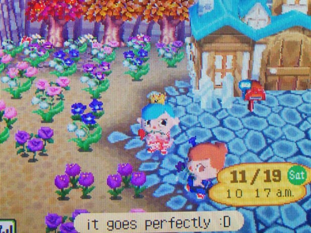 Rain's gift of pastel flowers