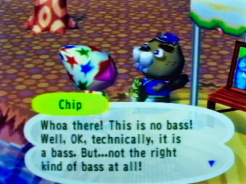 Chip: Whoa there! This is no bass! Well, OK, technically, it is a bass. But...not the right kind of bass at all!