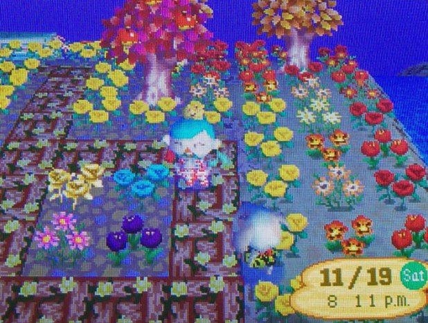 Kammile filled the placeholder with a gift of four rare flowers!