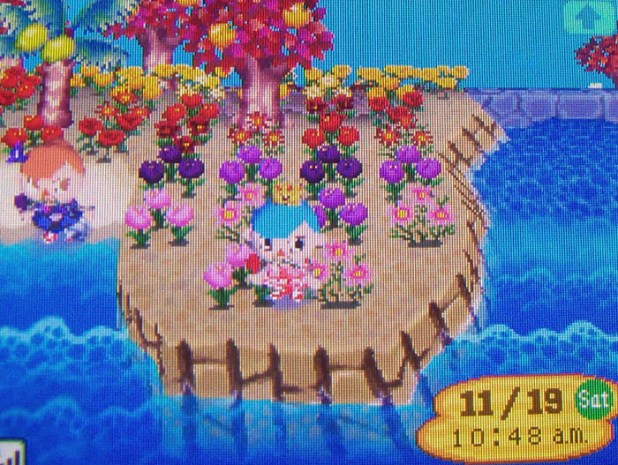 A gradient of Autumn colors on the island