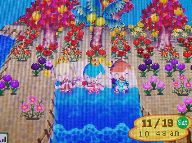 Kammile, Twisk, and Rain at the island's beach