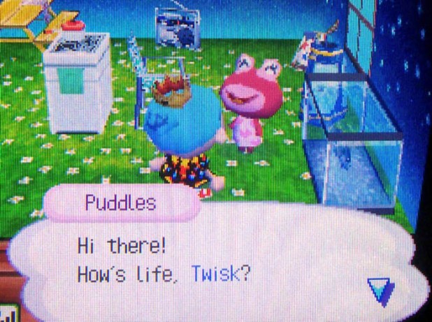 Puddles: Hi there! How's life, Twisk?
