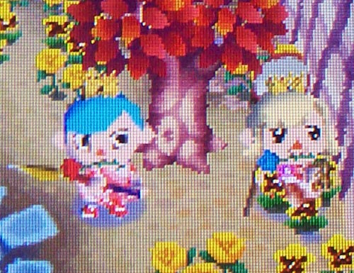 Kammile catches a mole cricket