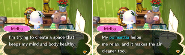 Melba singing the praises of the poinsettia in her home