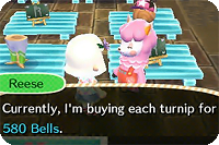 Reese's big turnip price: 580 bells