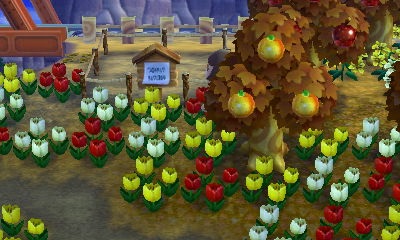 House plot for Doc or Erik