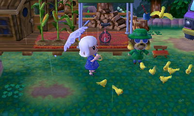 Harvey feeding birds in rain