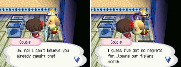 Giving Goldie a tuna