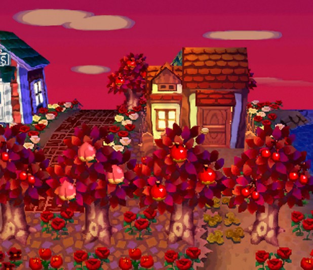 Pecan's red house in the sunset