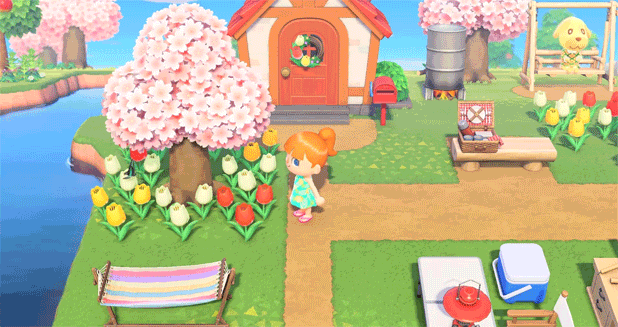 Picking up tulip flowers